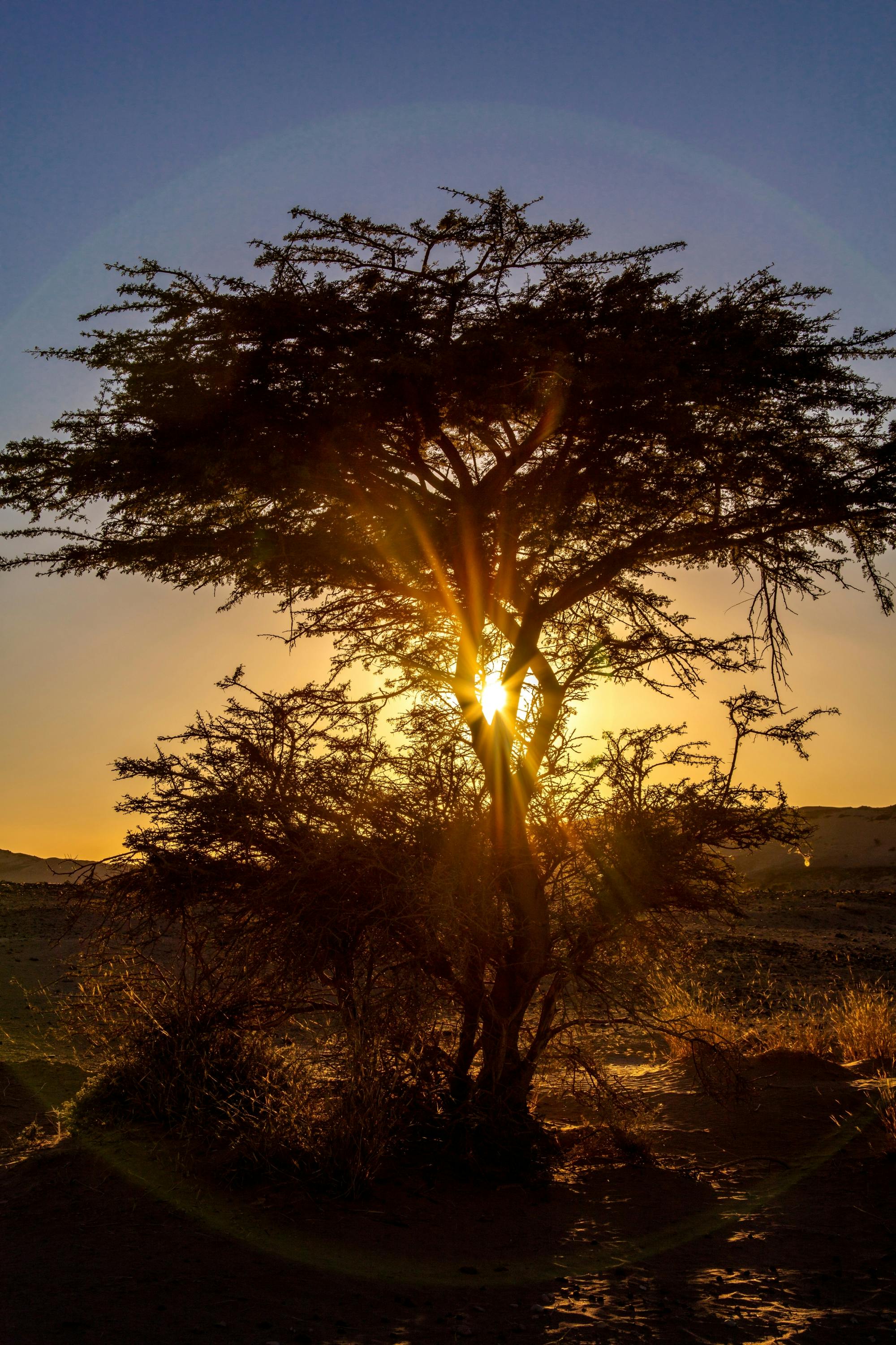 Off-road tour to Tifnit, the Mini Sahara and Tiznit City