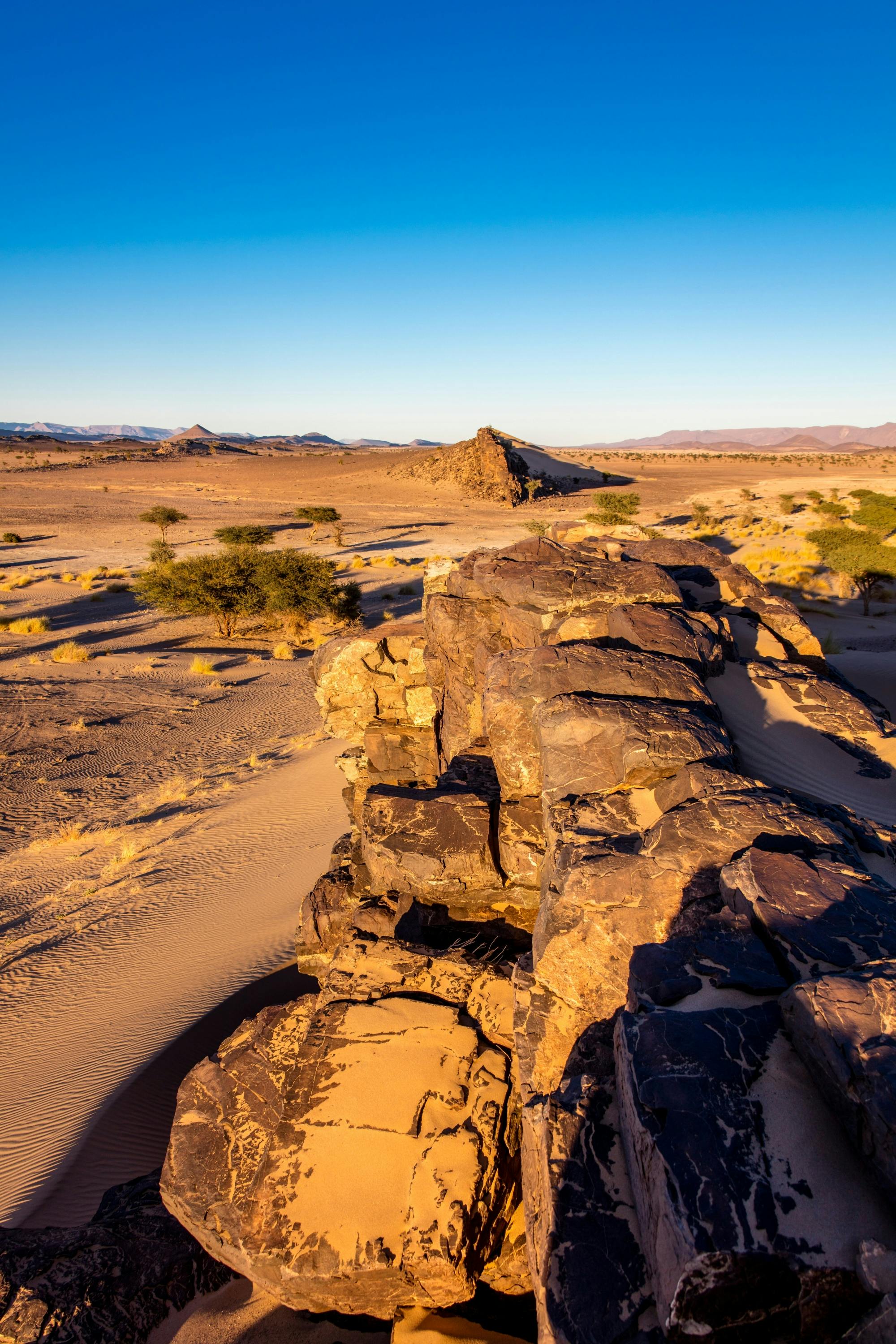 Off-road tour to Tifnit, the Mini Sahara and Tiznit City