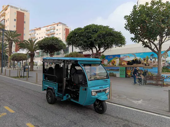 Two-hour shared tuk tuk tour of Puerto de la Cruz