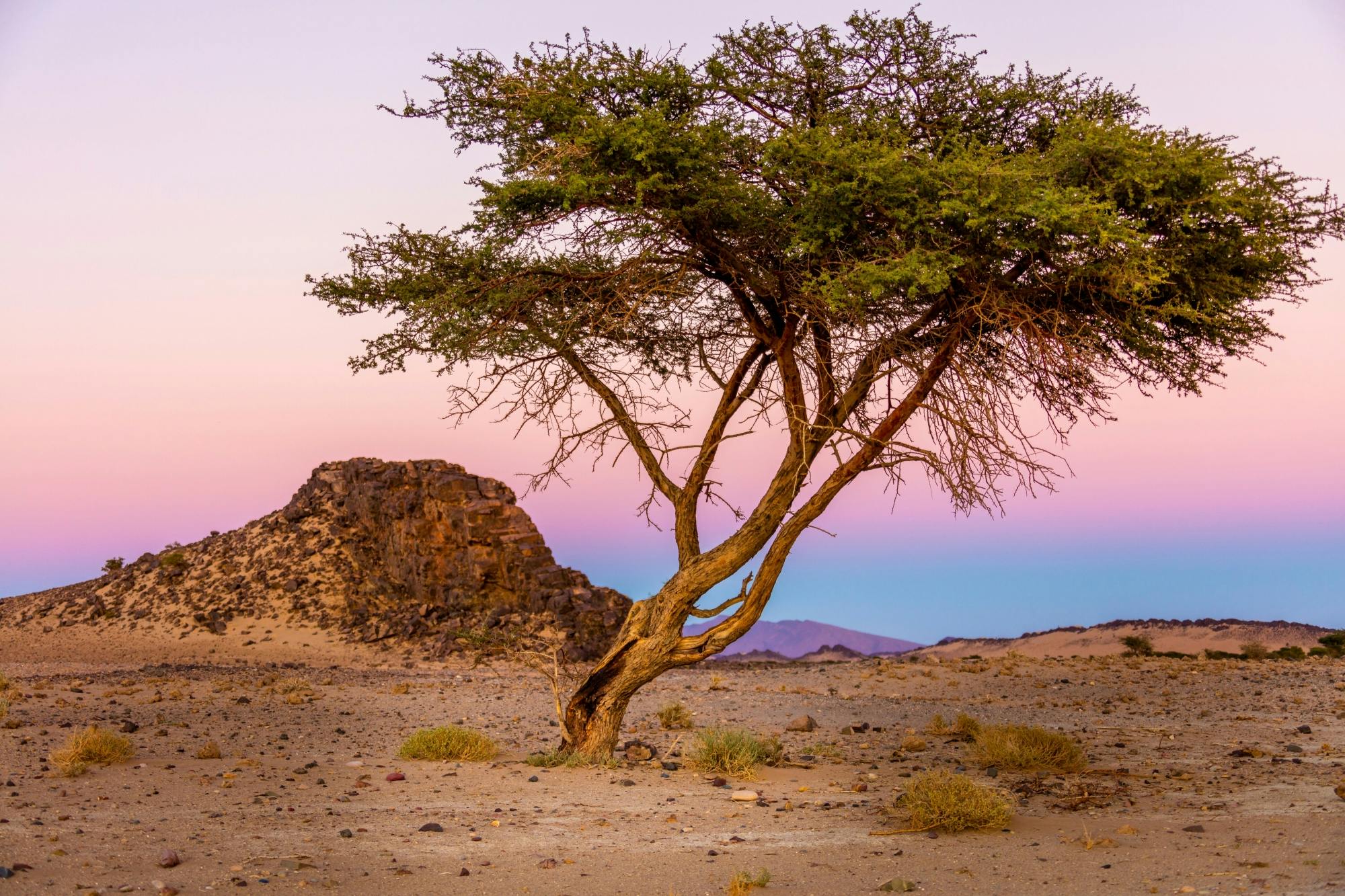 Off-road tour to Tifnit, the Mini Sahara and Tiznit City