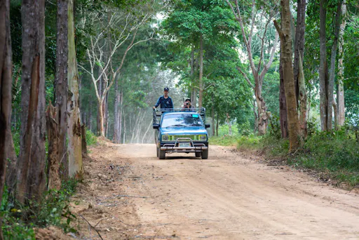 Thailand’s temples and trunks tour with Kui Buri elephant safari from Hua Hin