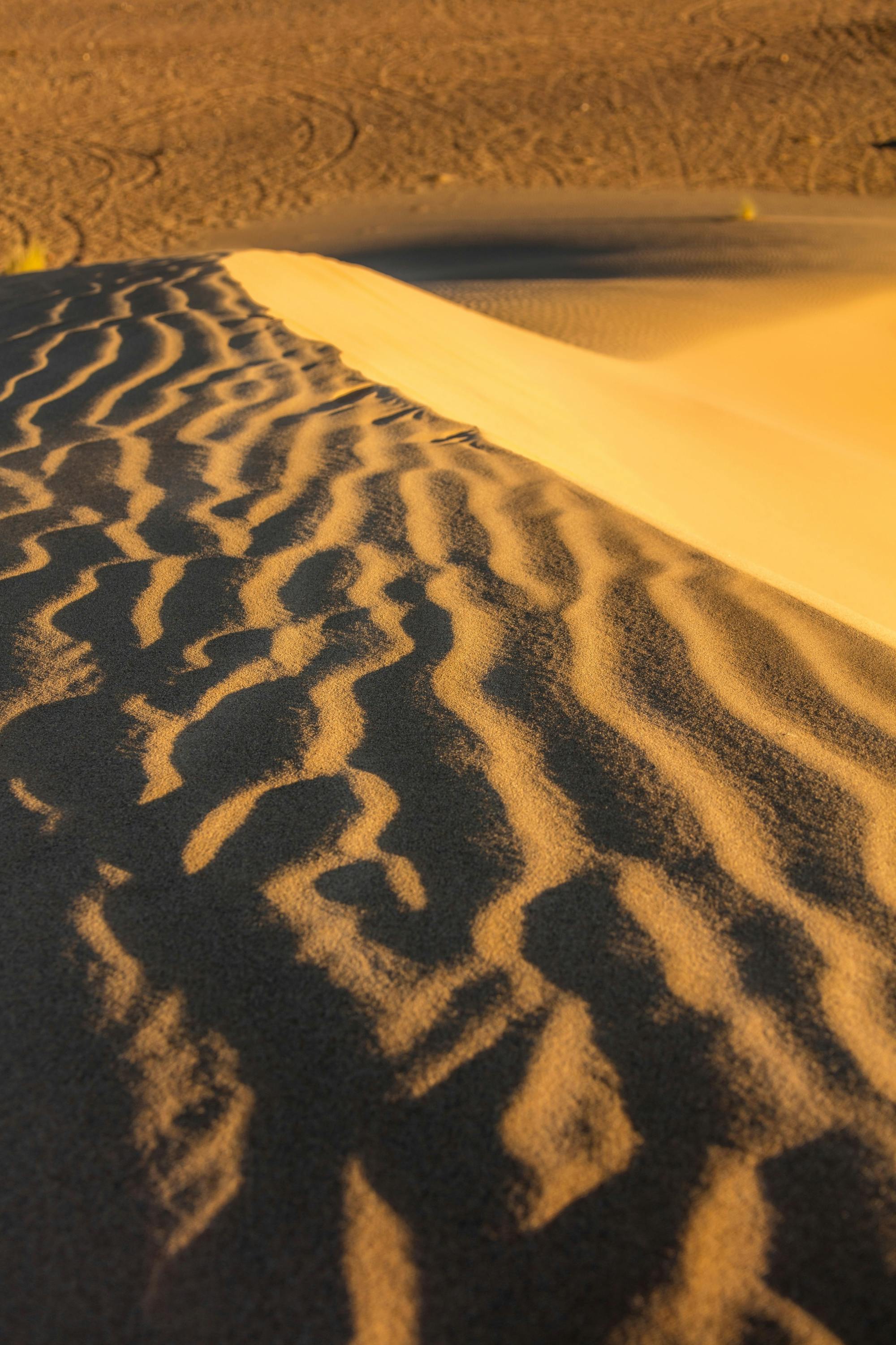 Off-road tour to Tifnit, the Mini Sahara and Tiznit City