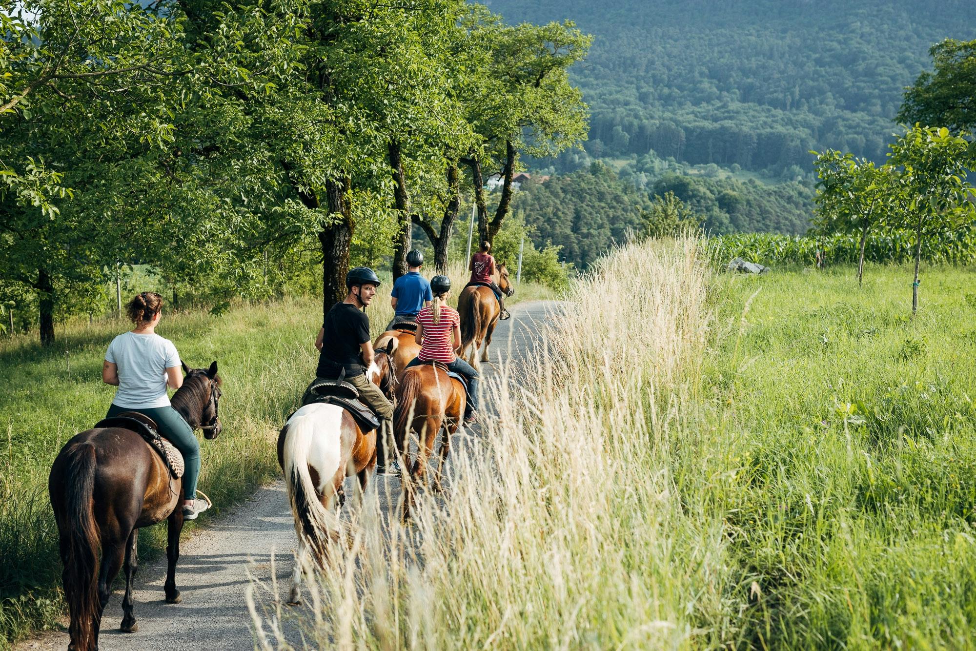 Experiência de passeio a cavalo pelas Dolomitas de Brenta