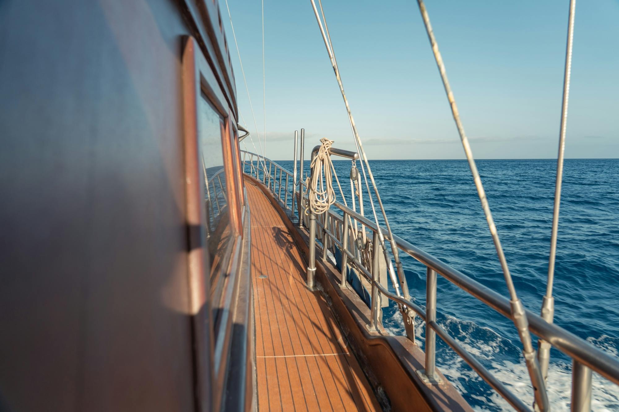 Fuerteventura half-day ocean explorer tour