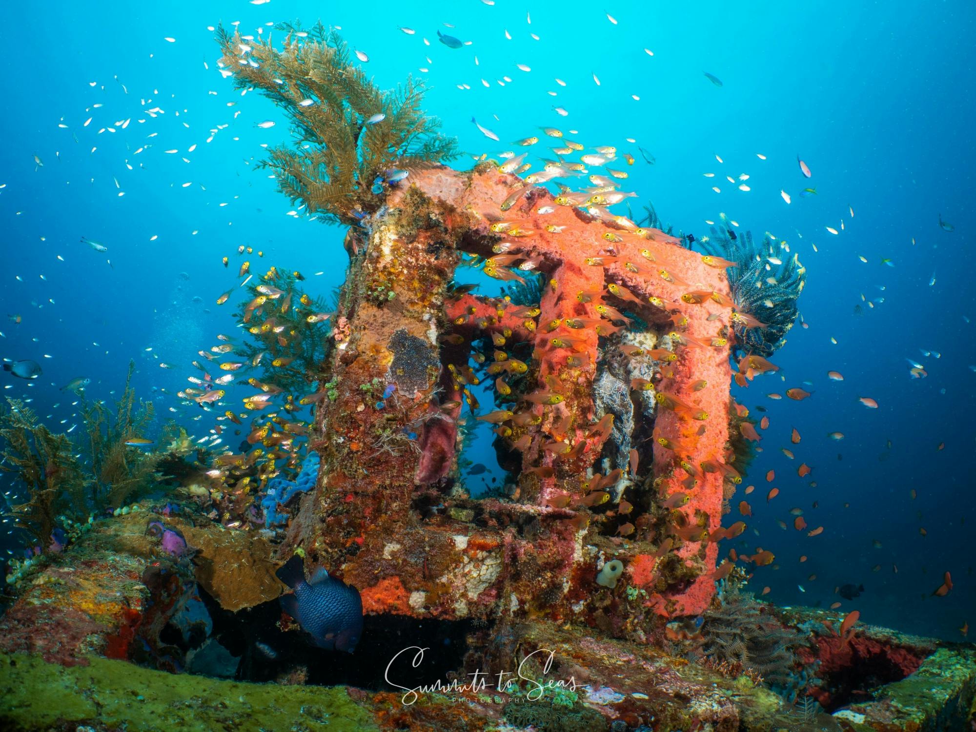Bali scuba diving at Tulamben or Amed with two dives