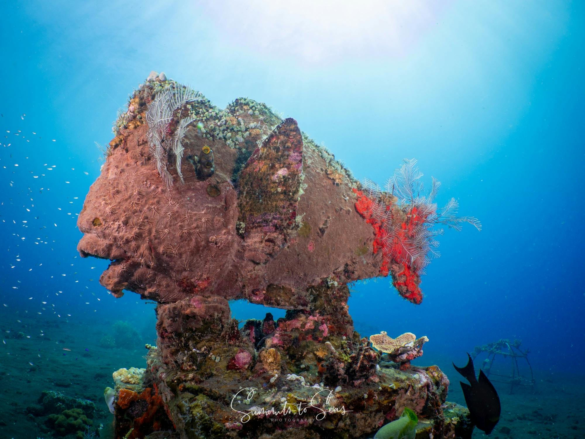 PADI Discover Scuba Diving course in Bali