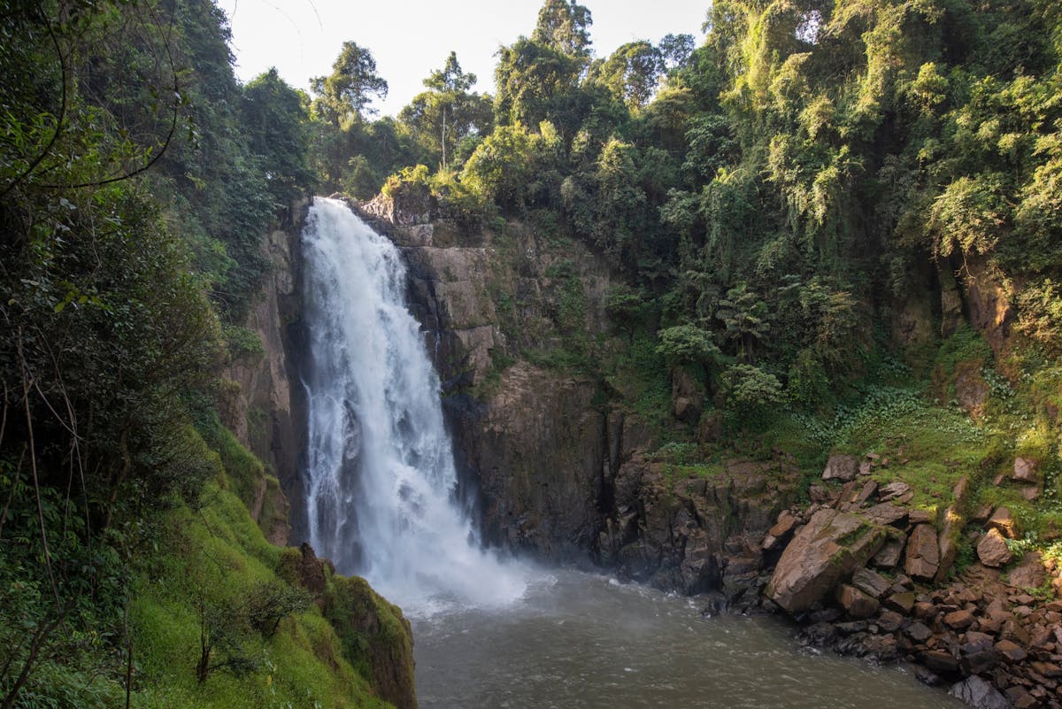Hele dag begeleide tour vanaf Bangkok naar het Khao Yai Nationaal Park