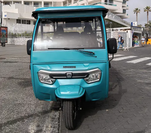 One-hour shared tuk tuk tour in Puerto de la Cruz
