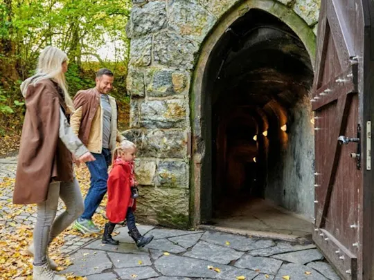 Fairy Grottoes combo ticket with family tour and forest adventure