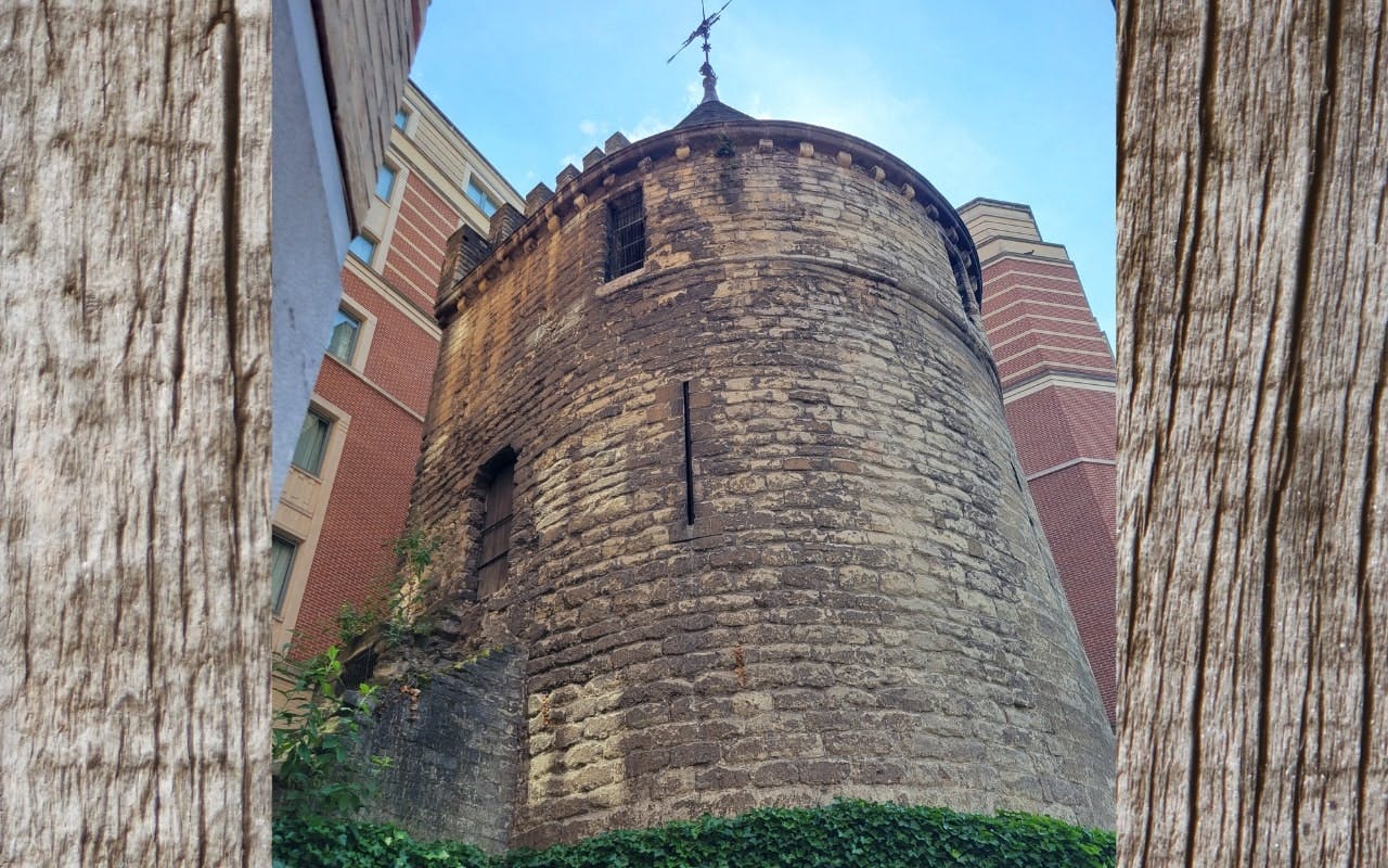 bokun-1244096-11503027
