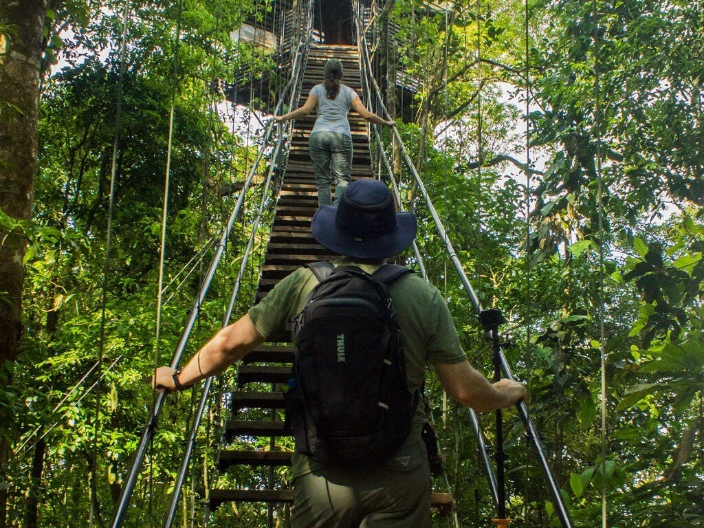 Sensoria Rainforest hiking tour