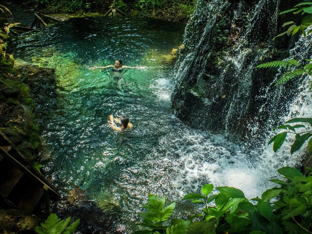 Sensoria Rainforest hiking tour