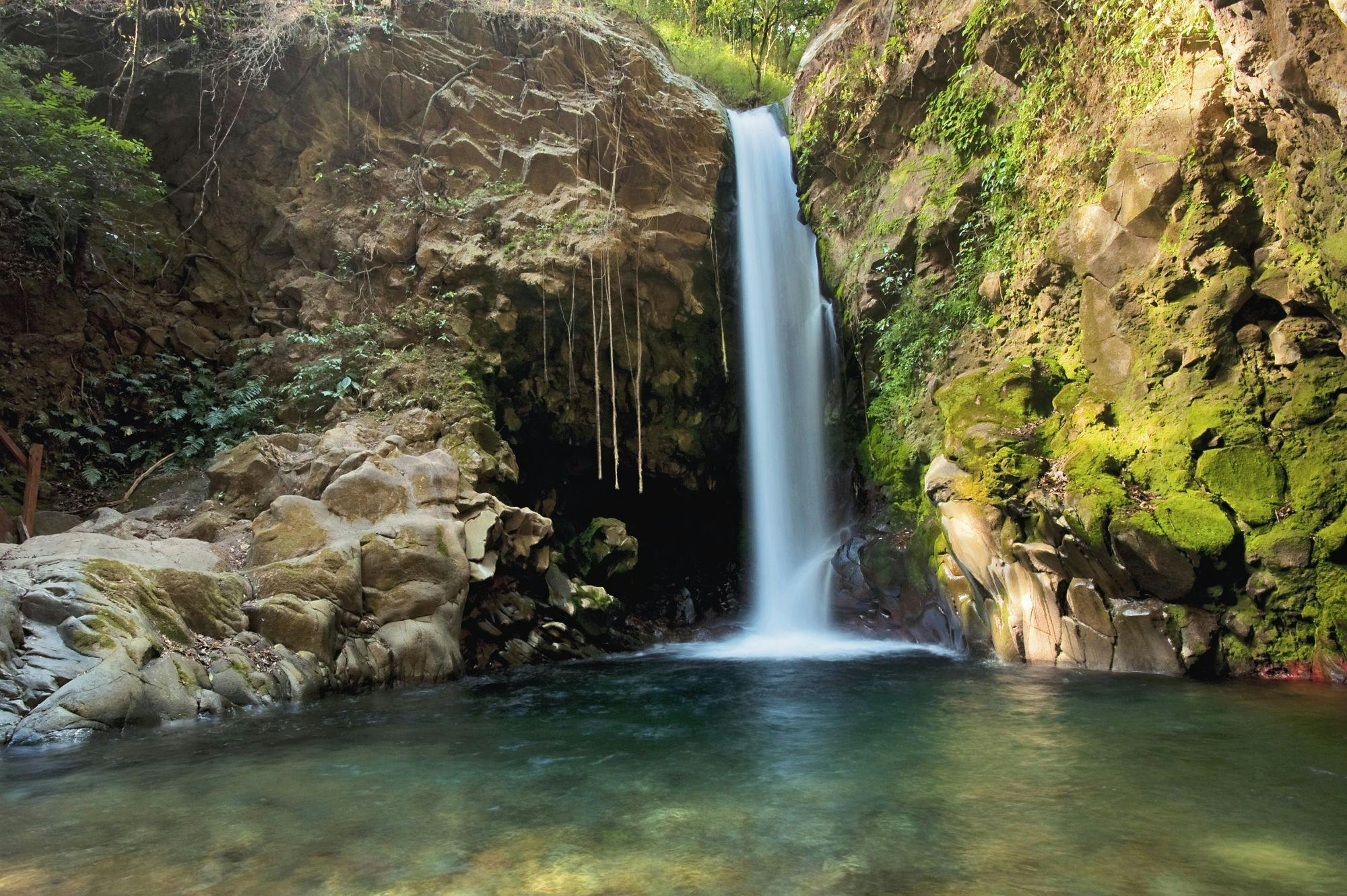 Sensoria Rainforest hiking tour