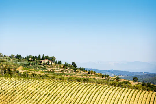Experiência privada de dois dias na Toscana, com aula de culinária e pernoite
