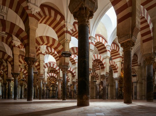 Eintrittskarte und Tourguide für die Moschee-Kathedrale von Córdoba