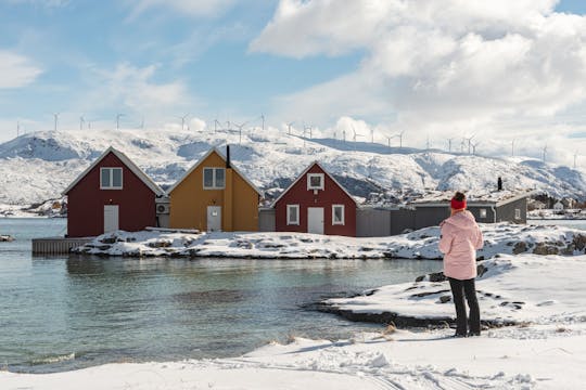 Excursão a Kvaløya e ao fiorde de Sommarøy a partir de Tromsø, com almoço incluído