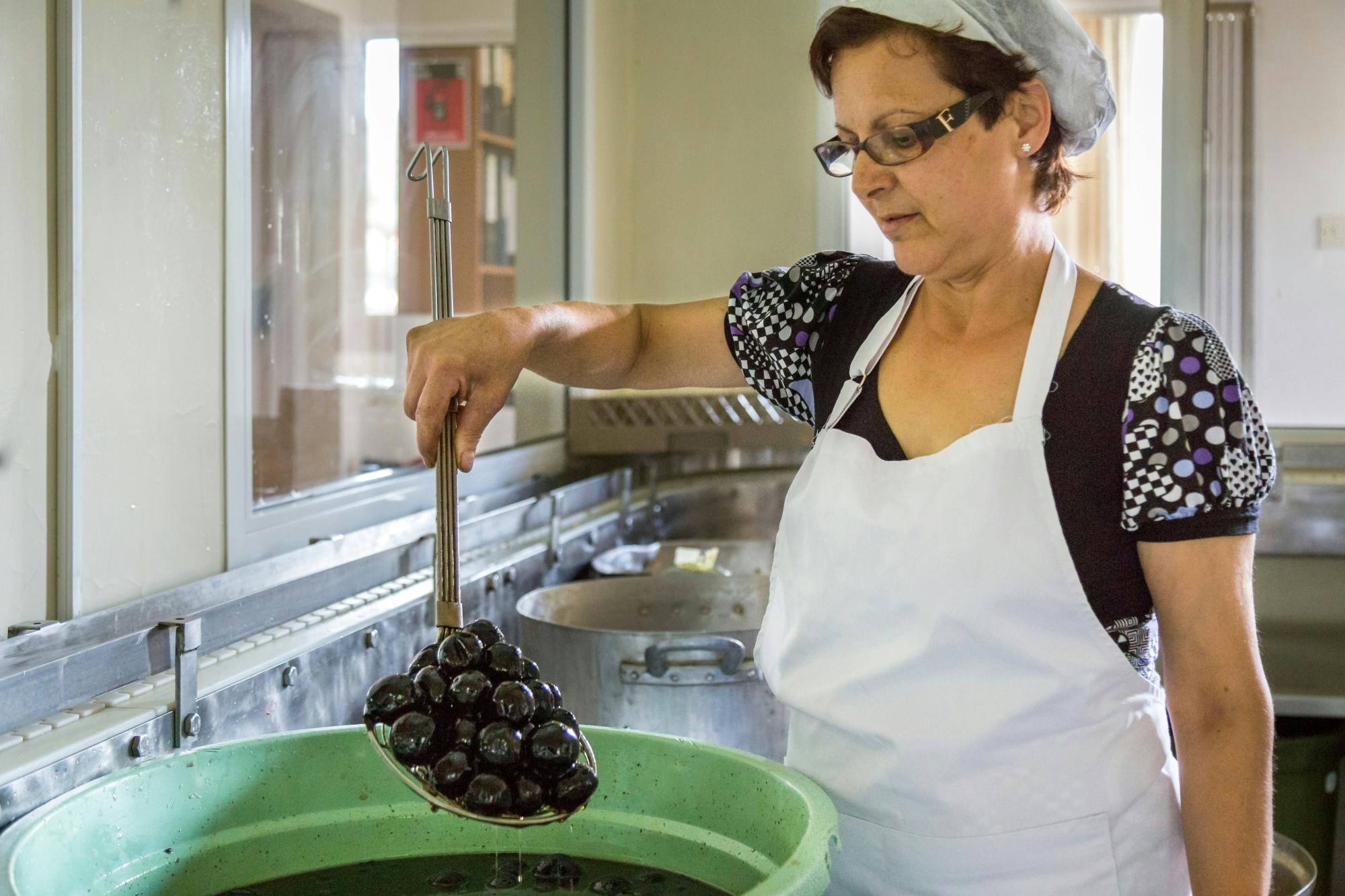 Mountain villages with lunch and honey-tasting from Ayia Napa and Protaras