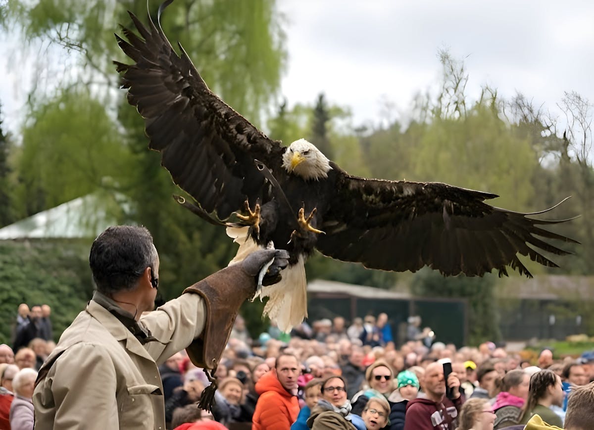 Dagkaart voor het Weltvogelpark Walsrode