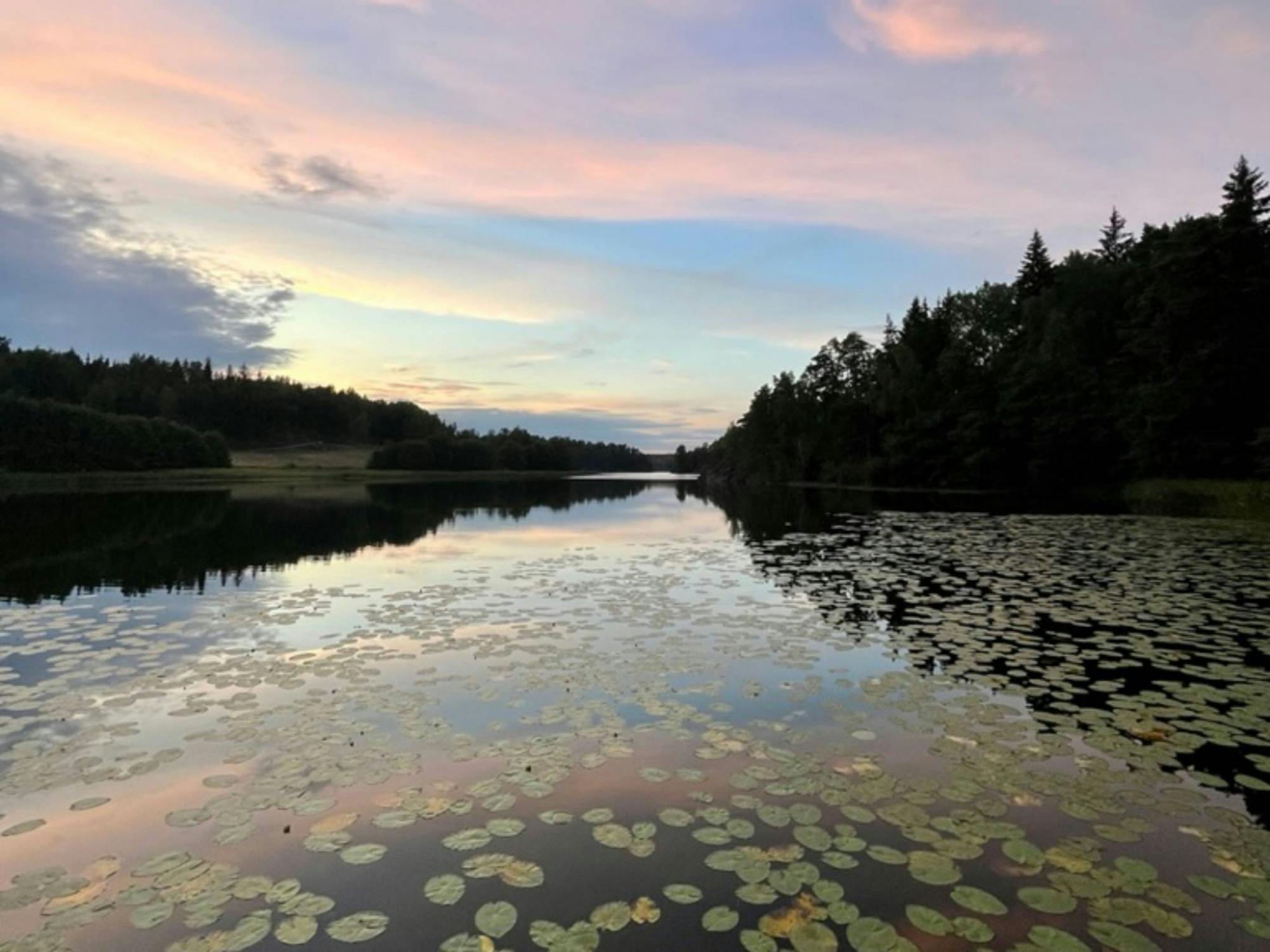 Hiking_Tour_Stockholm_Tyresta_Sunset_7_t098f9.jpg