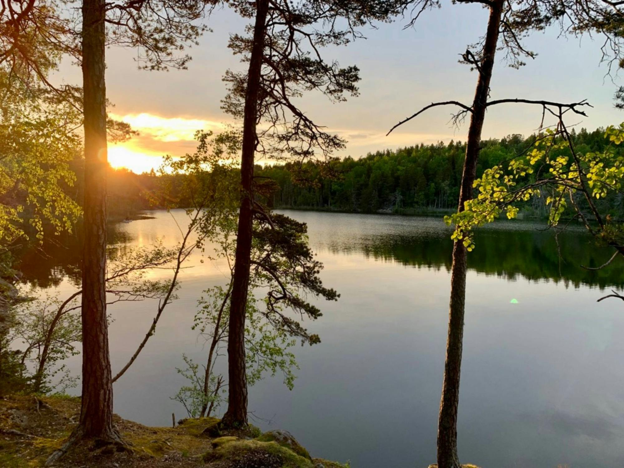 Hiking_Tour_Stockholm_Tyresta_Sunset_19_twdjkd.jpg