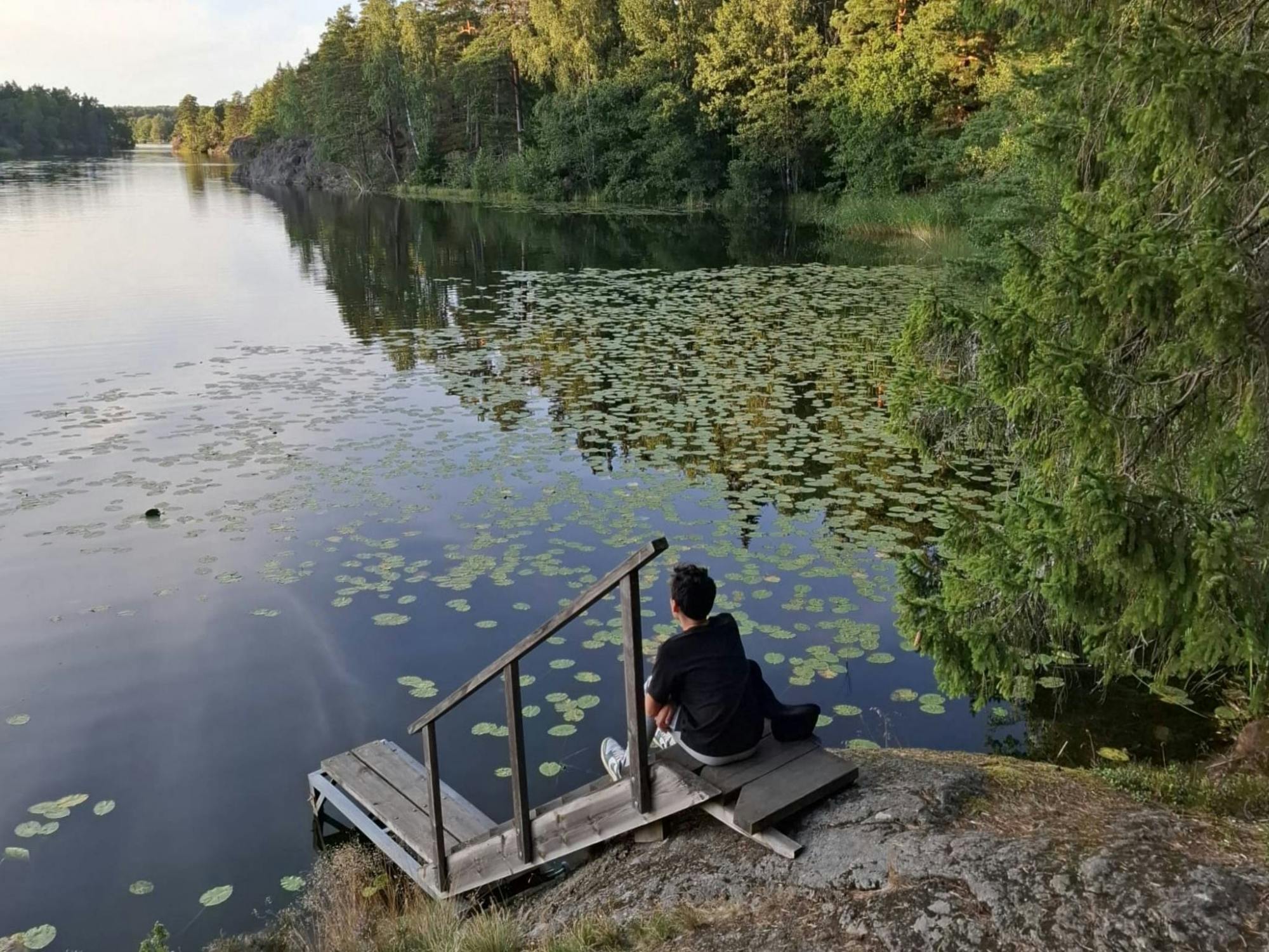 Hiking_Tour_Stockholm_Tyresta_Sunset_5_snl3wr.jpg