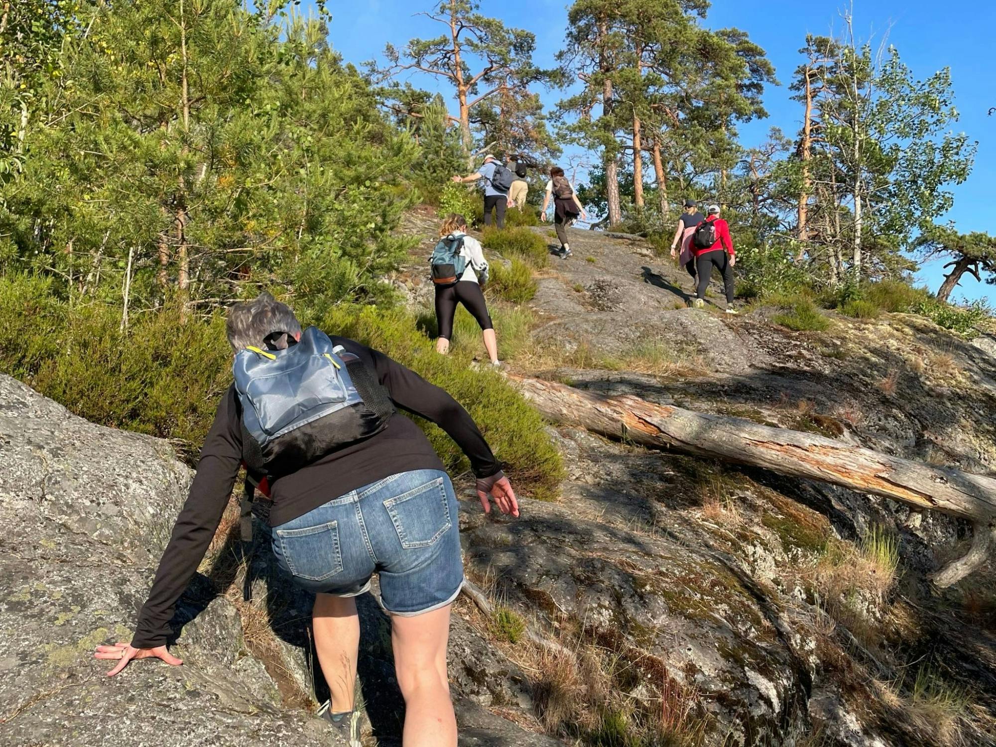 Hiking_Tour_Stockholm_Tyresta_Sunset_14_aggcmr.jpg