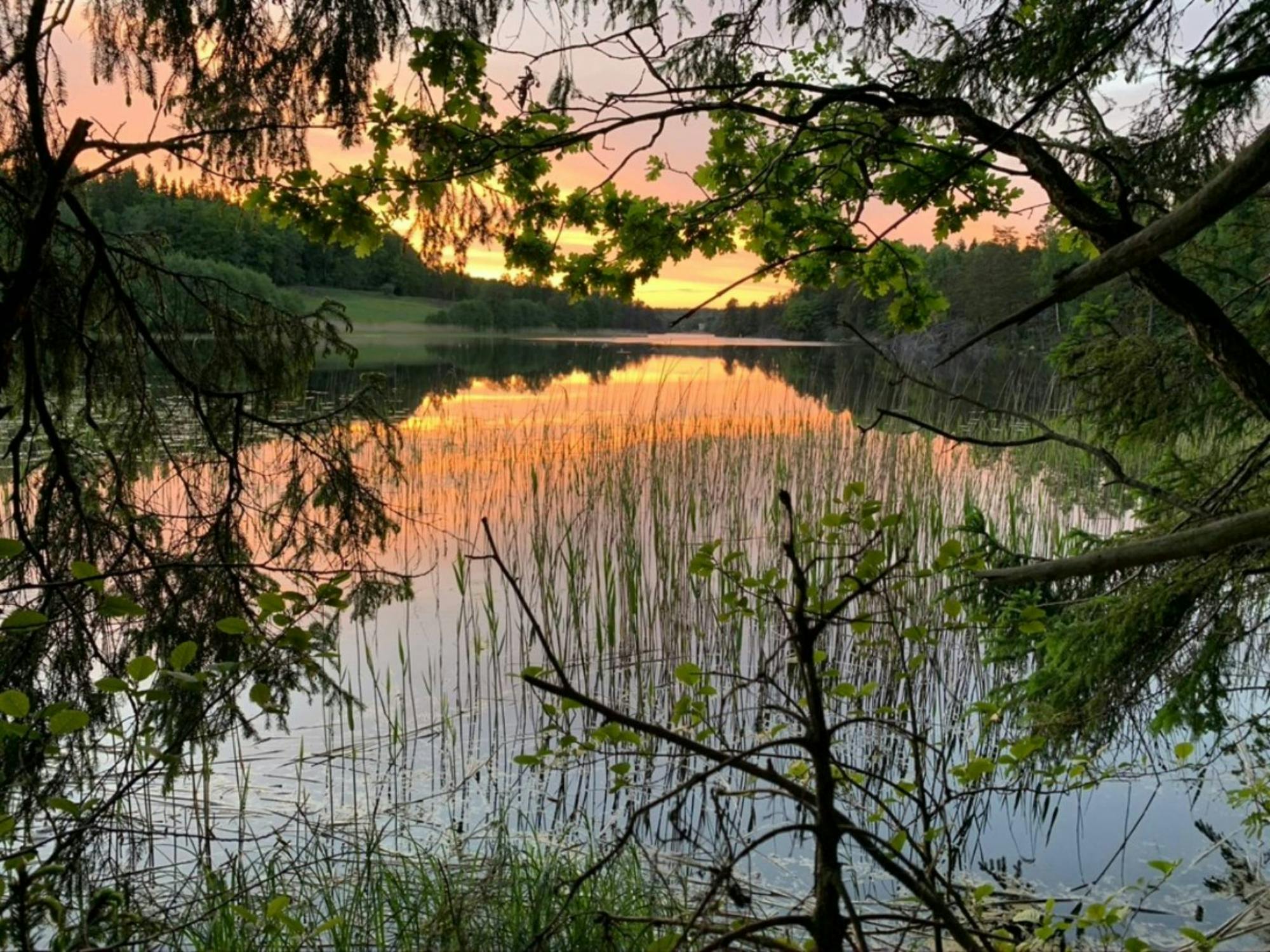Hiking_Tour_Stockholm_Tyresta_Sunset_4_vsqky7.jpg