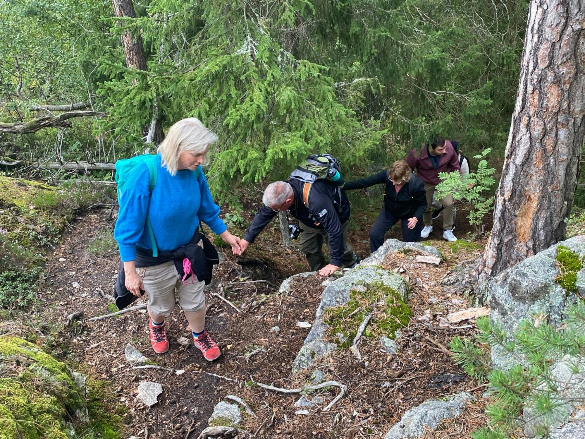 Hiking_Tour_Stockholm_Tyresta_Sunset_18_wejlsx.jpg
