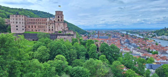 Heidelberg Castle and old town tour with Königstuhl viewpoint