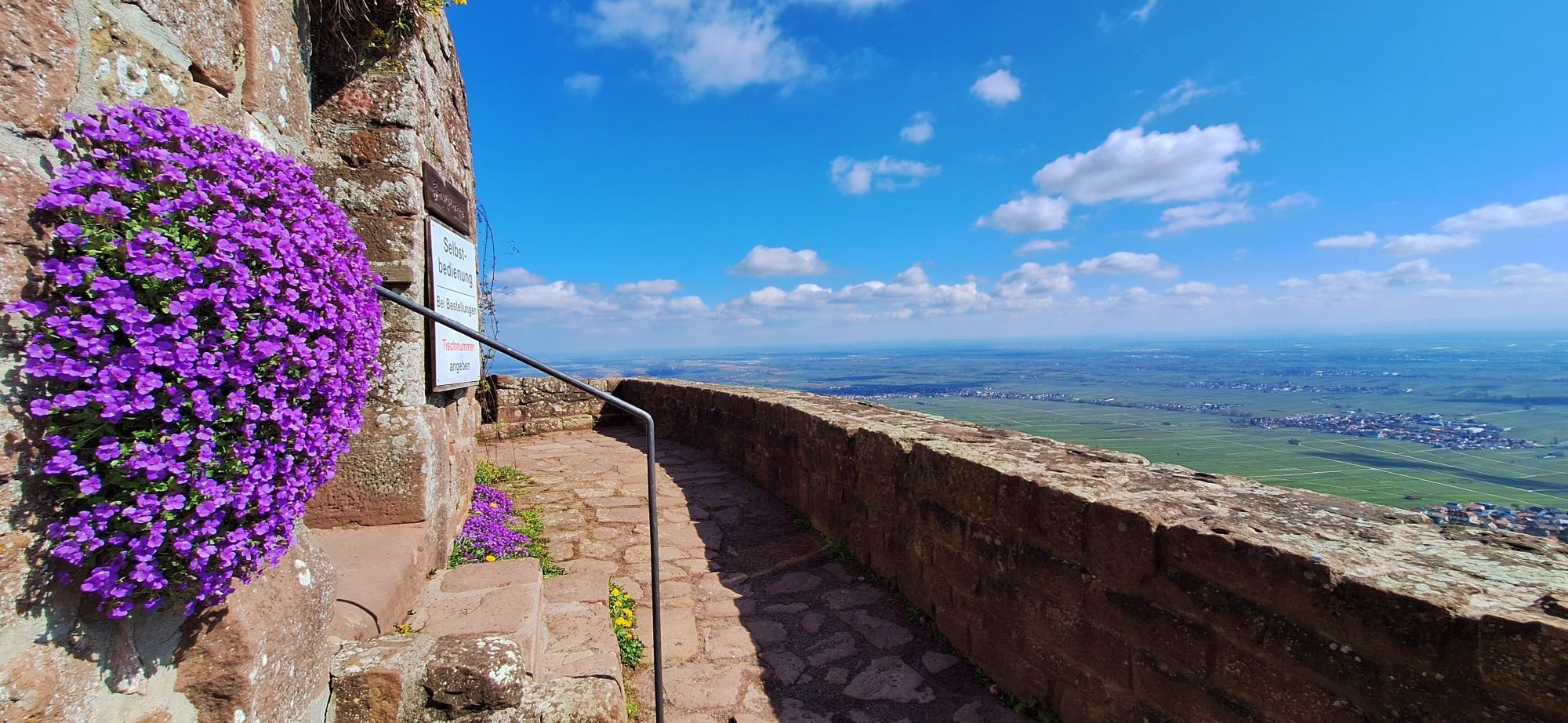 Excursión por el Palatinado a Bad Dürkheim y al castillo de Rietburg desde Heidelberg