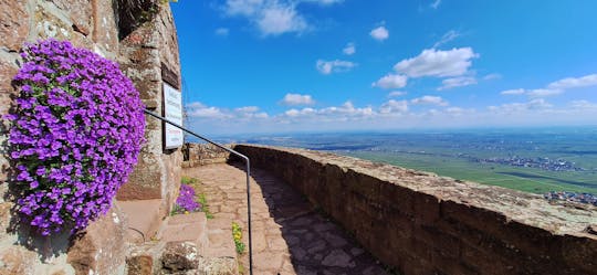 Excursión por el Palatinado a Bad Dürkheim y al castillo de Rietburg desde Heidelberg