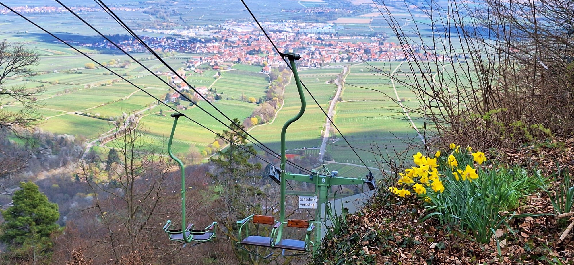 202607176a5a59af16301.jpg