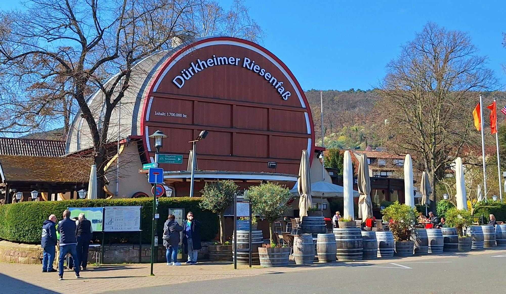 Ruta enológica por Bad Dürkheim desde Heidelberg con catas