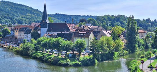Excursion d'une demi-journée à Neckargemünd et au château de Dilsberg au départ de Heidelberg