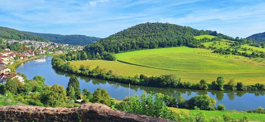 Excursión de un día al valle del Neckar desde Heidelberg con ruta de senderismo por el Odenwald