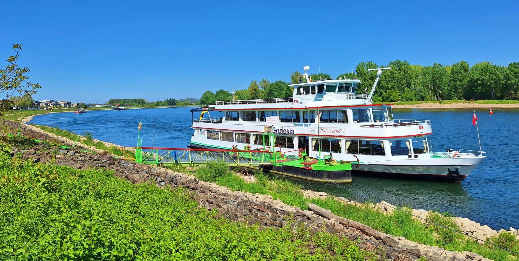 Speyer day trip from Heidelberg with cathedral and Rhine River cruise