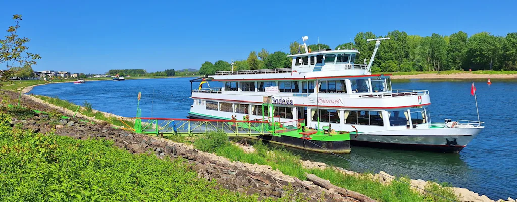 Passenger boat on the Rhine during a Speyer day trip from Heidelberg