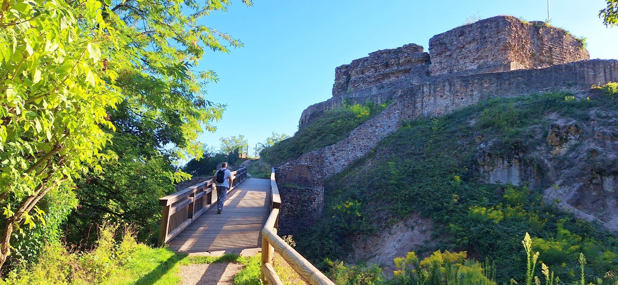 Bergstraße full-day tour with mine and lookouts from Heidelberg