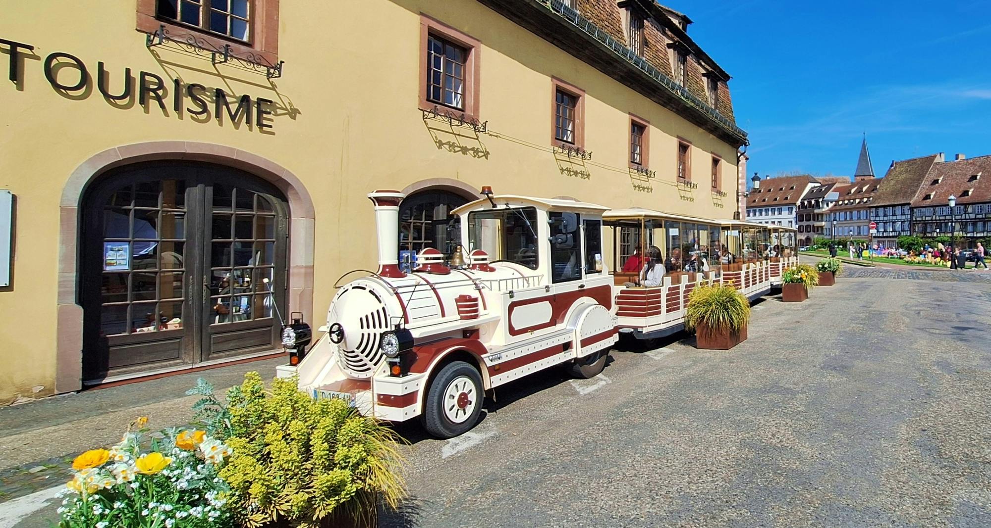 Tour entlang der Pfälzer Weinstraße mit Weinprobe und Besuch in Wissembourg