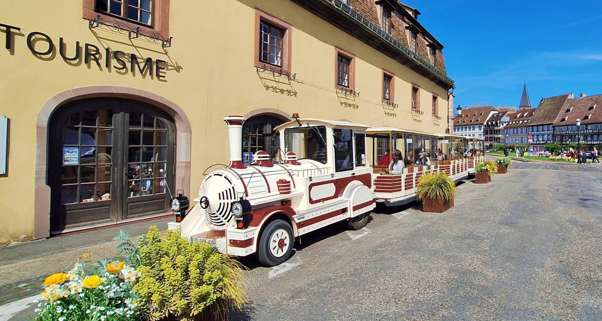 Rondleiding langs de wijnroute van de Palts met wijnproeverij en een bezoek aan Wissembourg