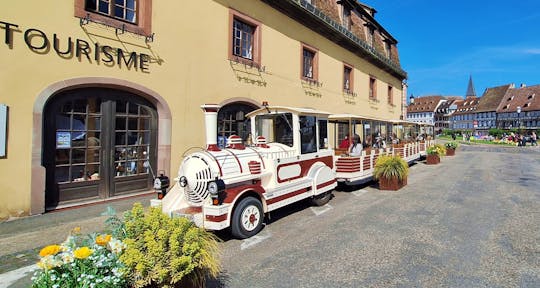 Tour entlang der Pfälzer Weinstraße mit Weinprobe und Besuch in Wissembourg
