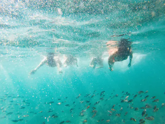 Tour di mezza giornata con snorkeling e paddleboarding da Puerto Vallarta
