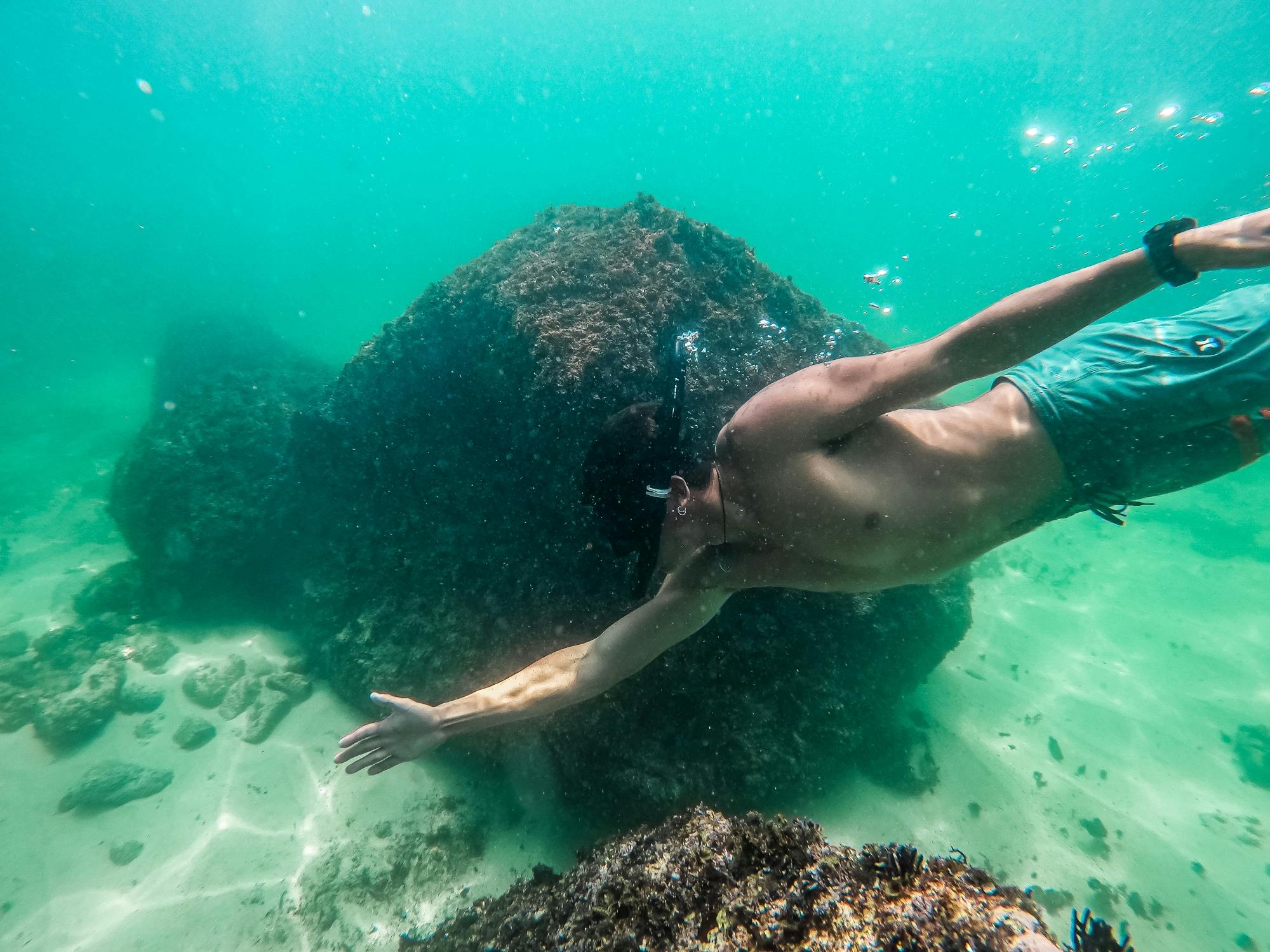 Half-day snorkel and paddle-boarding tour from Puerto Vallarta