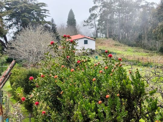 Halve dagtocht door de Serra do Pai met traditionele lekkernijen