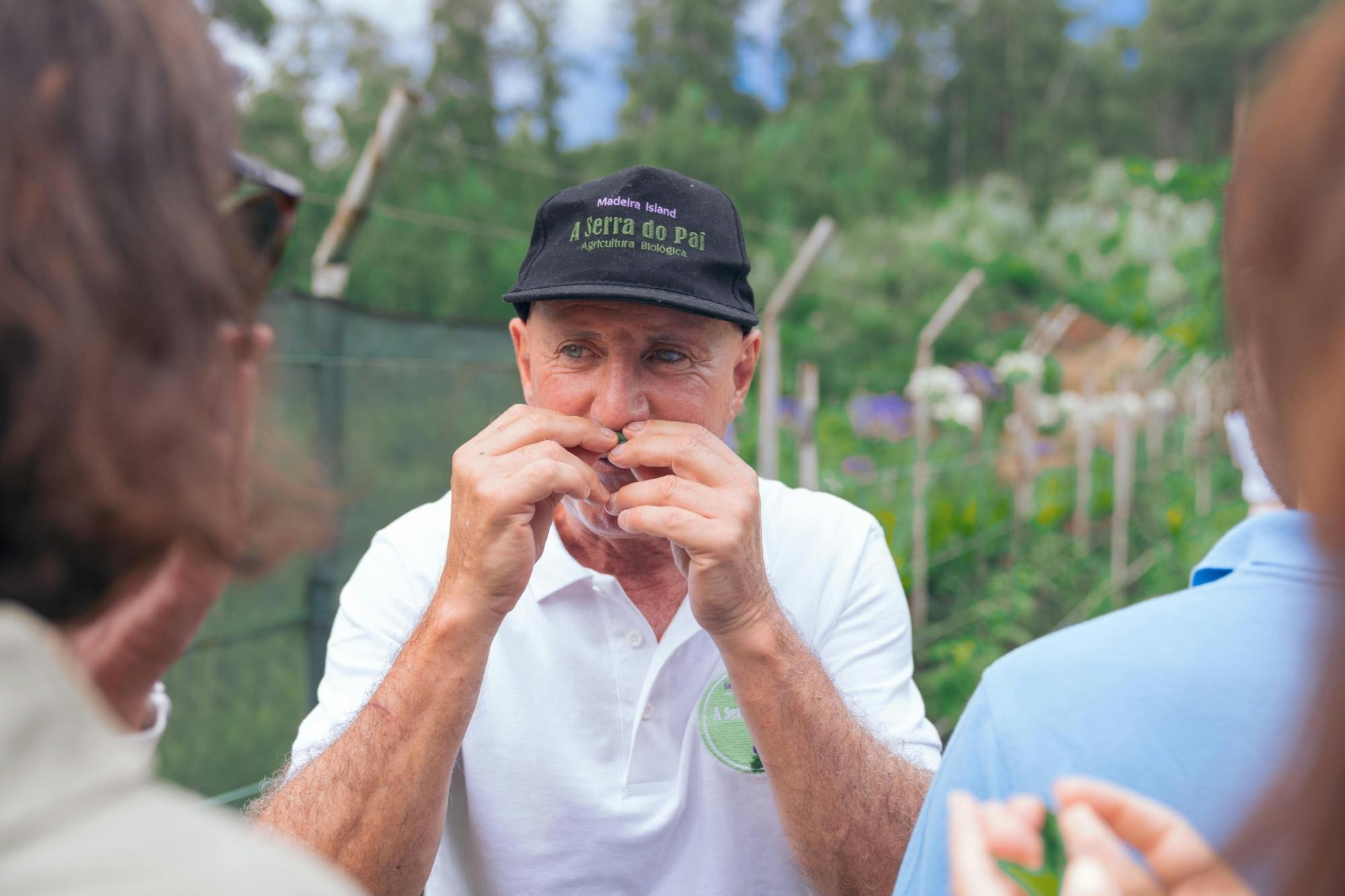 Serra do Pai half-day tour with traditional tastes