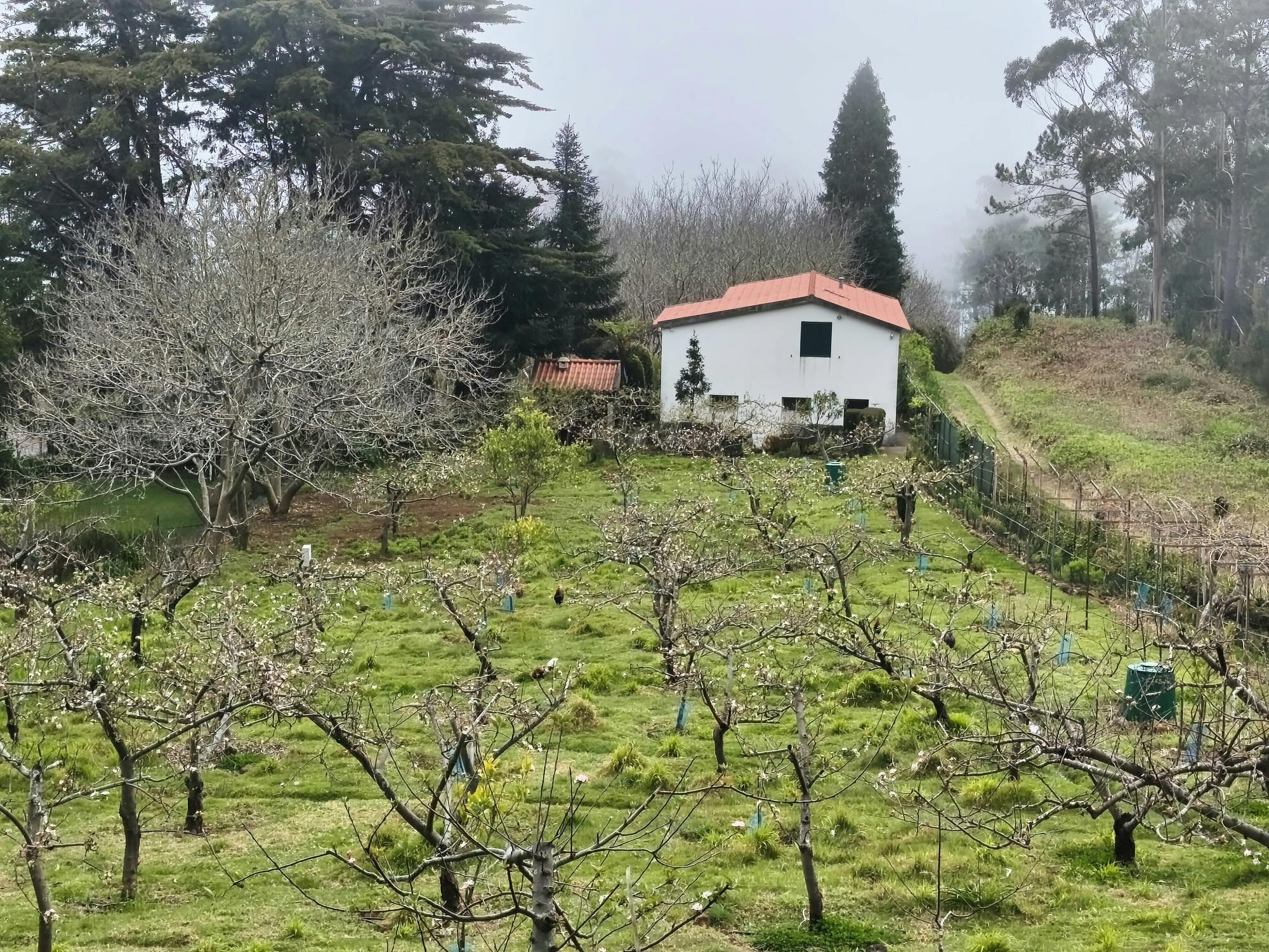 Serra do Pai half-day tour with traditional tastes