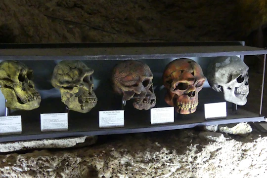 Jalon and the Caves of Skulls full-day tour from Calpe