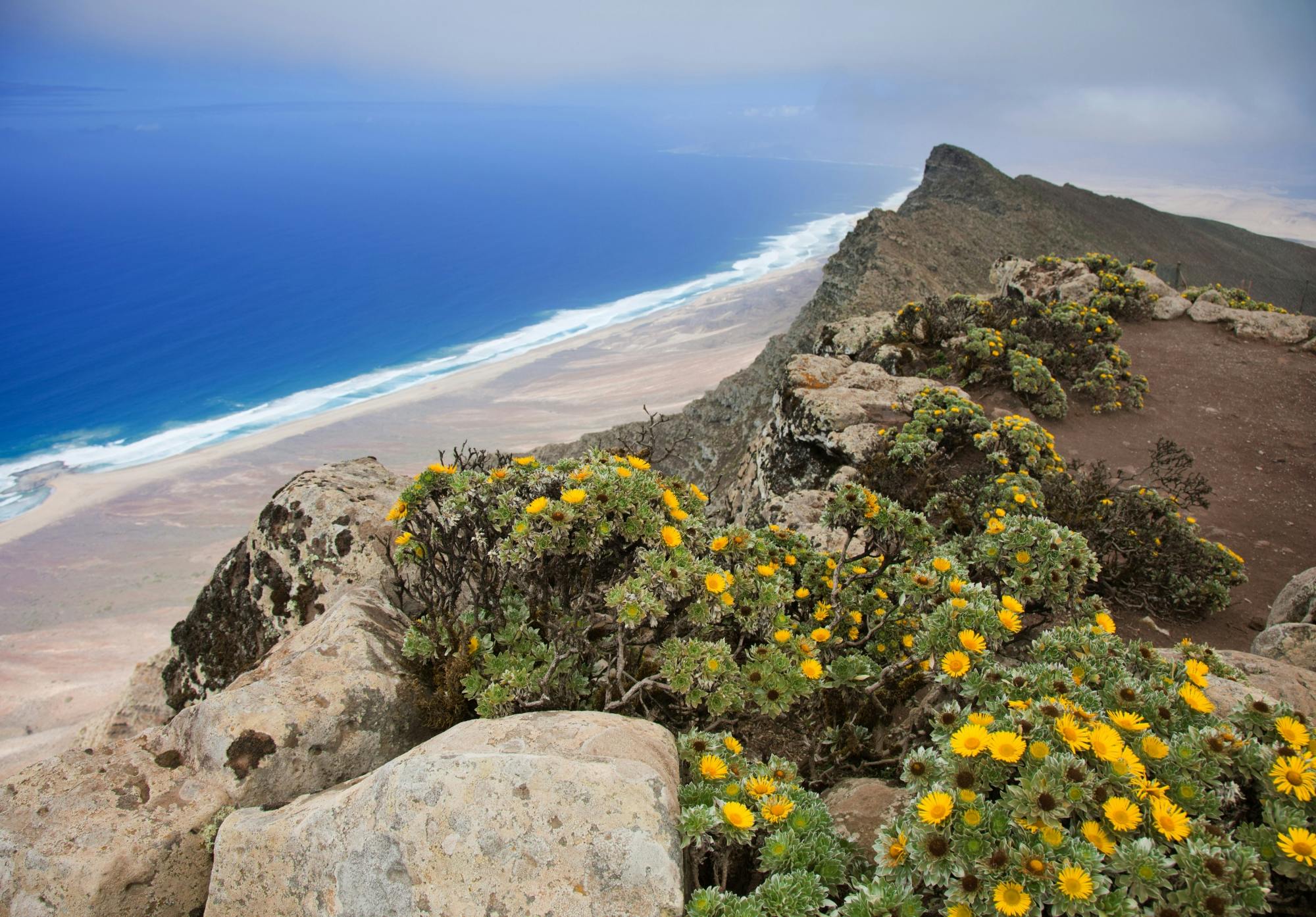 Pico de la Zarza, Fuerteventura