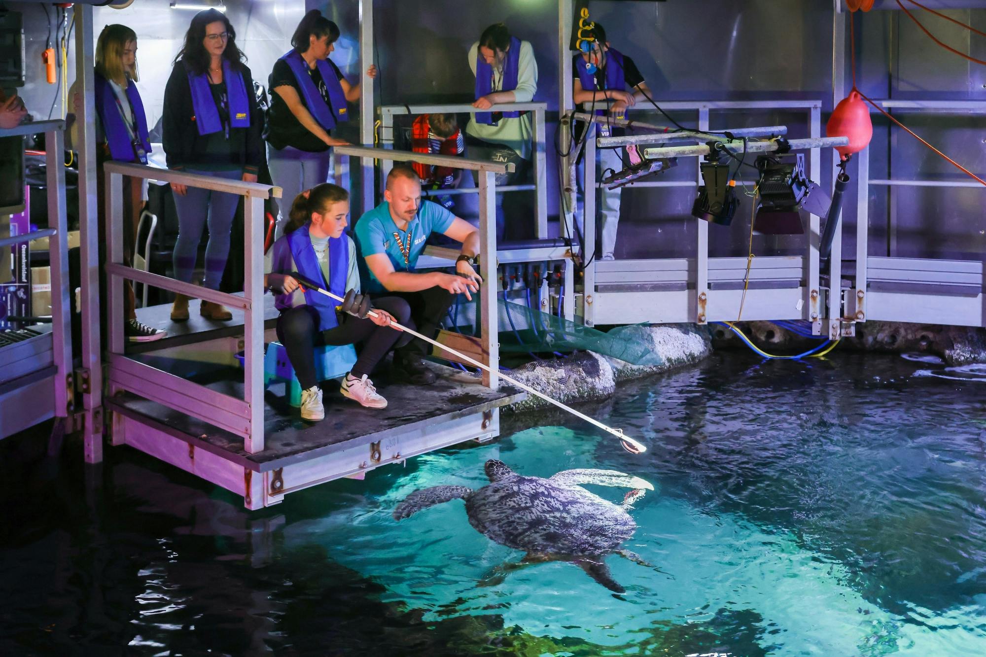 Entradas para SEA LIFE Timmendorfer Strand con visita guiada entre bastidores