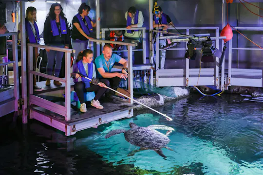 Bilety do SEA LIFE w Timmendorfer Strand wraz z wycieczką za kulisami
